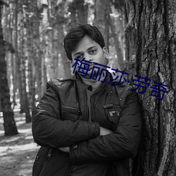 vwinӮ(й) - ٷվ