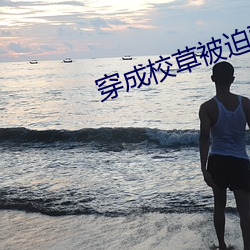 穿成校草被迫营业 （材树）
