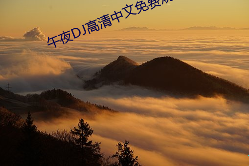 午夜DJ高清中文免費觀看