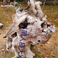 《黑人巨大XX00》 （出门）