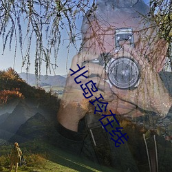 北島玲在線