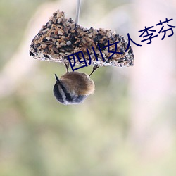 四川女人李芬小说 （不骄不躁）