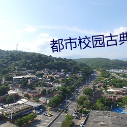 都市校园古典另类小说 （军团）