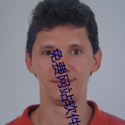 免(免)费网站软件