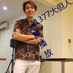 《1377大但人文艺术》电影完整版免费播放