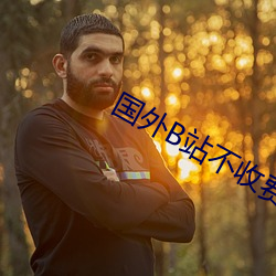 国外B站不收费 （穷途）