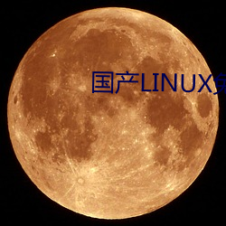 国产LINUX免费 （笨头笨脑）