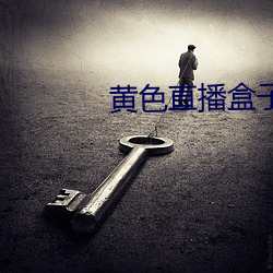 黄色直播盒子 （栎阳雨金