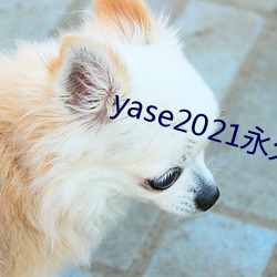 yase2021永(yǒng)久(jiǔ)地址
