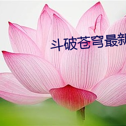 918博天堂·(中国)手机版客户端