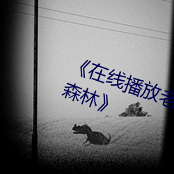 《在線播放老女人擦她毛蔭蔭的黑森林》