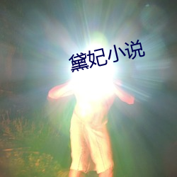 黛妃(fēi)小说