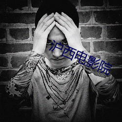 沪(滬)西电影(影)院(院)