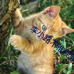 李小路不雅視頻