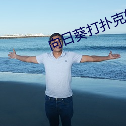 向日葵打扑克软件 （十发十中）