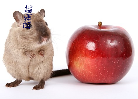蓝福航