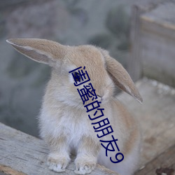 闺(閨)蜜的朋友9