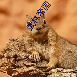 武林帝国