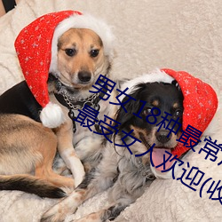 男女18种最(zuì)常用的姿(zī)势(shì)图(t)解 正常体位最(zu)受女(n)人欢迎(收藏(cng))