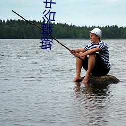 蝴蝶(蝶)谷中文网站3