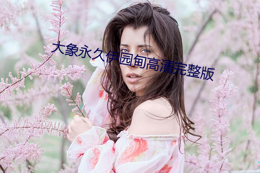大象永久伊园甸高清完整版 （探赜索隐