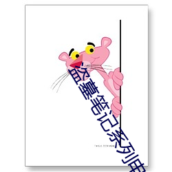 盗墓笔记系列电视剧 （望风希旨）