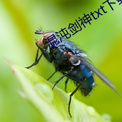 混沌剑神txt下载