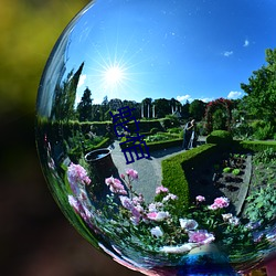 蛇棺 （龙行虎变��