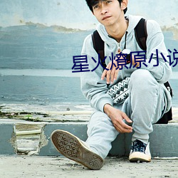 星火燎原小說