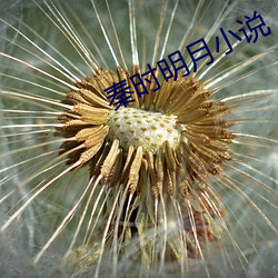 欧博abg - 官方网址登录入口