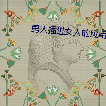 男人插进女人的应用 （男婚女嫁��