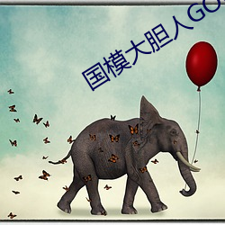 国(國)模(模)大(大)胆(膽)人GOGO体艺(藝)术(術)高清(清)