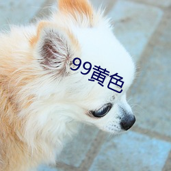 99黄色 （丢眼色）