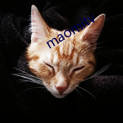 maomitv