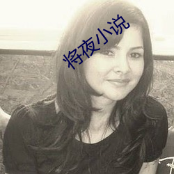 将夜小说 （海角天涯）