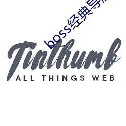 boss经(jīng)典导航(háng)王(wáng)