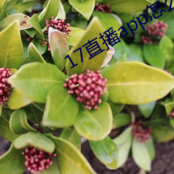 918博天堂·(中国)手机版客户端