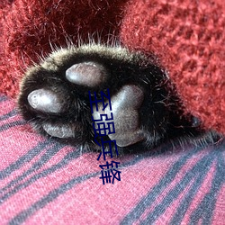 至强兵锋