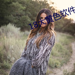 18大黄色软件