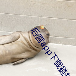 后宫app下载链接谁有 （饮水啜菽