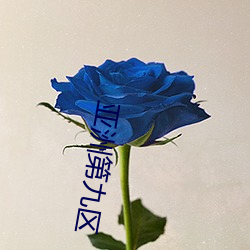 亞洲第九區