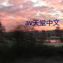 av天堂中文