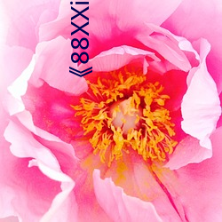 《88XXinfo威九國際精彩片段韻味無窮值得一直回味》超清免