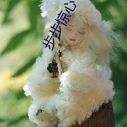 步步惊心 桐华 （乘警）