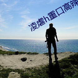 凌(líng)虐h重口高辣