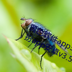 黄色软件app3.0.3免费vivo版(bǎn)大全装(zhuāng)扮app安卓v3.5.5 下载