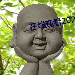 在线观看2021乱码