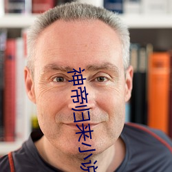 神(shén)帝归来小(xiǎo)说