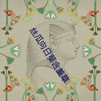 丝瓜向日葵含羞草