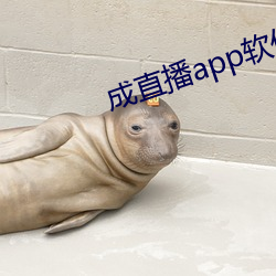 成直播app软件